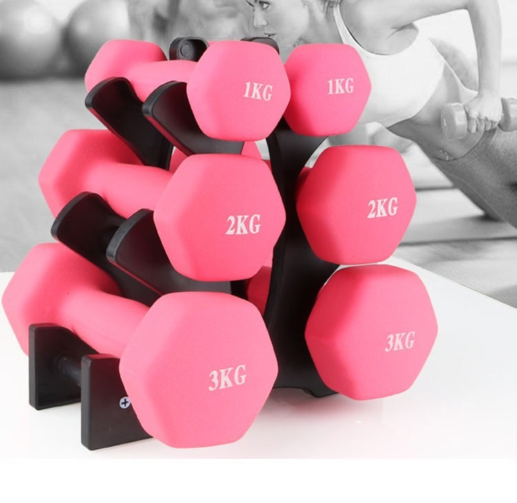 Fitness Dumbbell With Rack Holder Dumbbell Rack